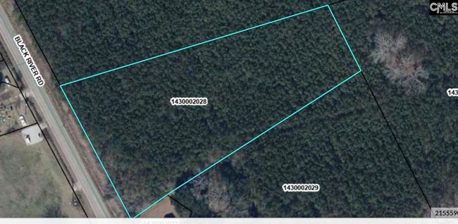 00 Black River Rd, Home with 0 bedrooms, 0 bathrooms and null parking in Rembert SC | Image 9
