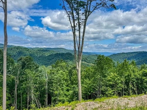 TBD Pinnacle Vw, Elk Park, NC, 28622 | Card Image