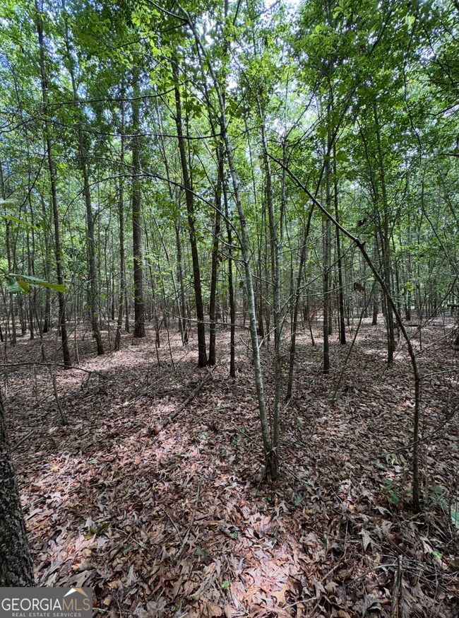 0 Tobias Rd, Home with 0 bedrooms, 0 bathrooms and null parking in Sardis GA | Image 7