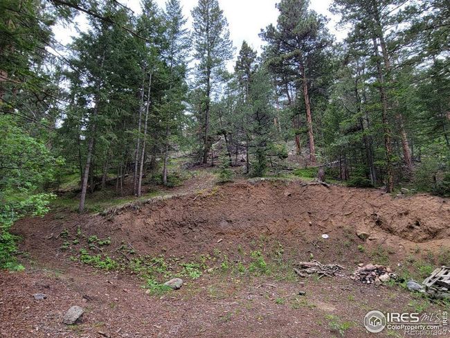1 Mountain Lion Track Court, Home with 0 bedrooms, 0 bathrooms and null parking in Livermore CO | Image 12