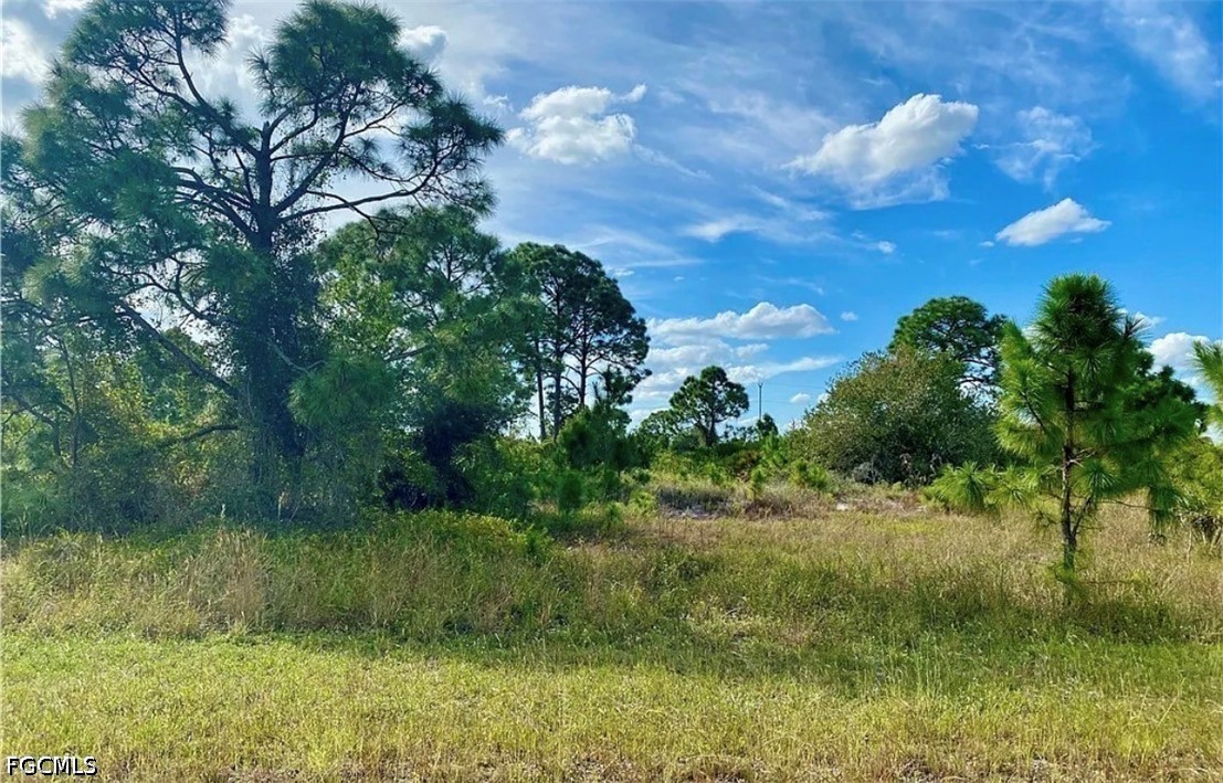 Land in Lehigh Acres