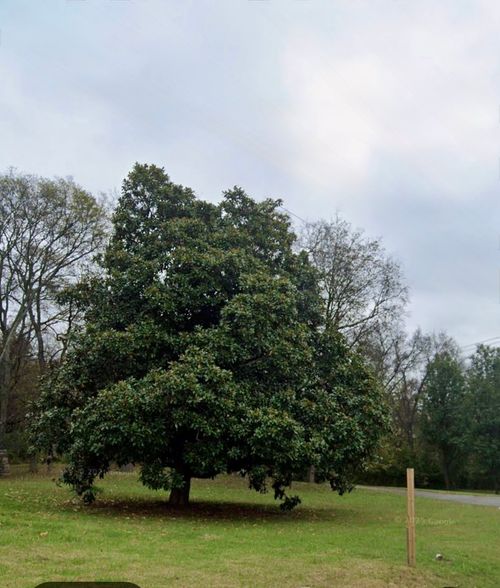 0 Old Hickory Blvd, Old Hickory, TN, 37138 | Card Image