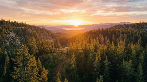 Nhn Little Bitterroot Overlook, Marion, MT, 59925 | Card Image