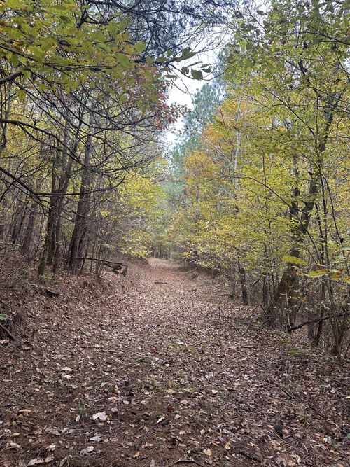 316 Arbor, Linden, TN, 37096-2045 | Card Image