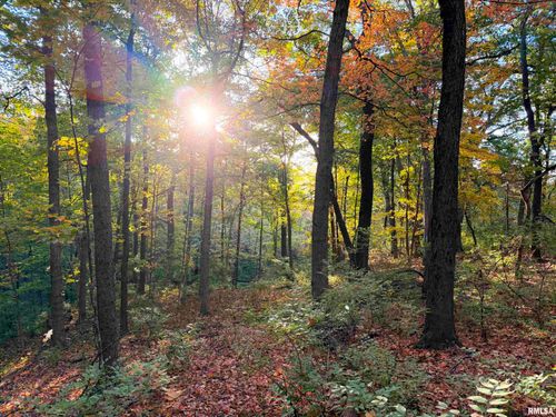 000 W Singing Woods Rd, Dunlap, IL, 61525 | Card Image