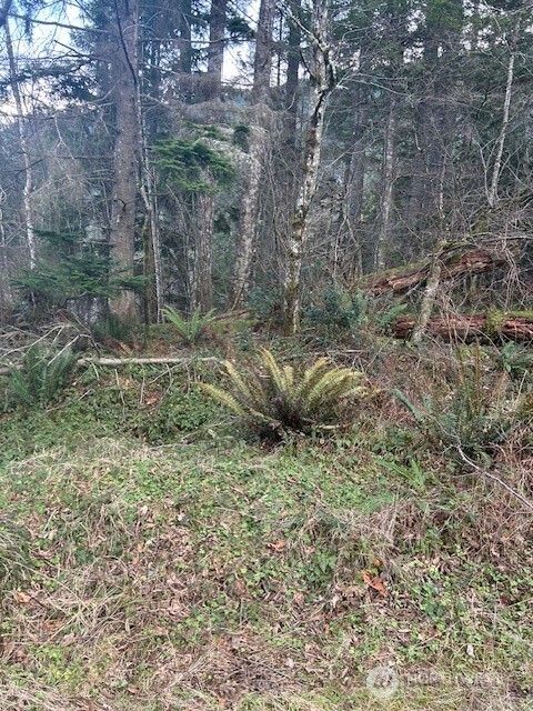 Land in North Bend 2