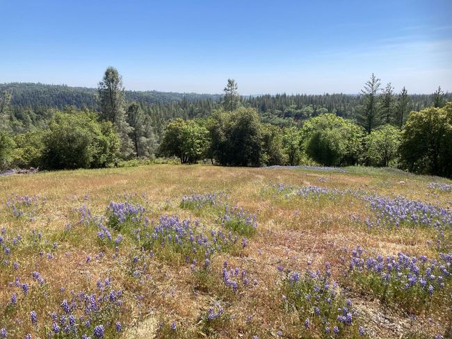 16688 Sonshine Ln, Home with 0 bedrooms, 0 bathrooms and null parking in Sutter Creek CA | Image 7