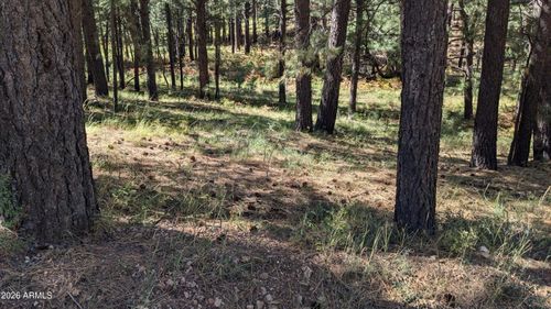 427-1878 Sheep Springs Rd, Forest Lakes, AZ, 85931-0170 | Card Image