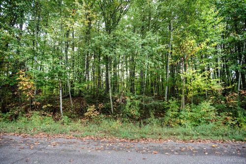 Lot 51 Thunderbird Lane, Wakefield, MI, 49968 | Card Image