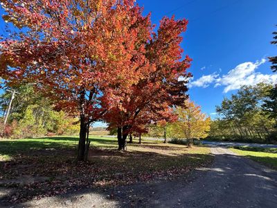 3881 Pre Emption, Home with 0 bedrooms, 0 bathrooms and null parking in Watkins Glen NY | Image 3