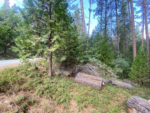 5483 Poor Mans Way, Wilseyville, CA, 95257-9719 | Card Image