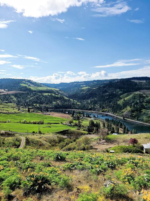 36171 River Rd, Lenore, ID, 83541-6114 | Card Image