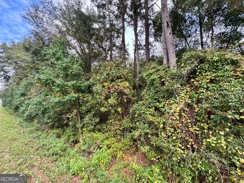 0 Elko Rd, Unadilla, GA, 31091 | Card Image