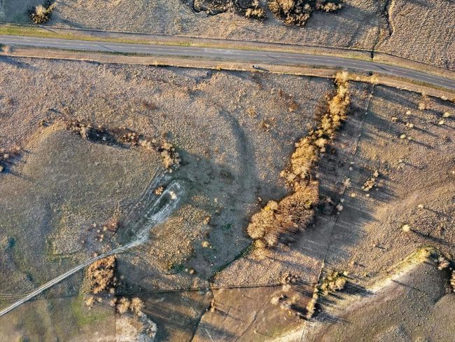 Tract 1-TBD Fm 677, Home with 0 bedrooms, 0 bathrooms and null parking in Saint Jo TX | Image 5