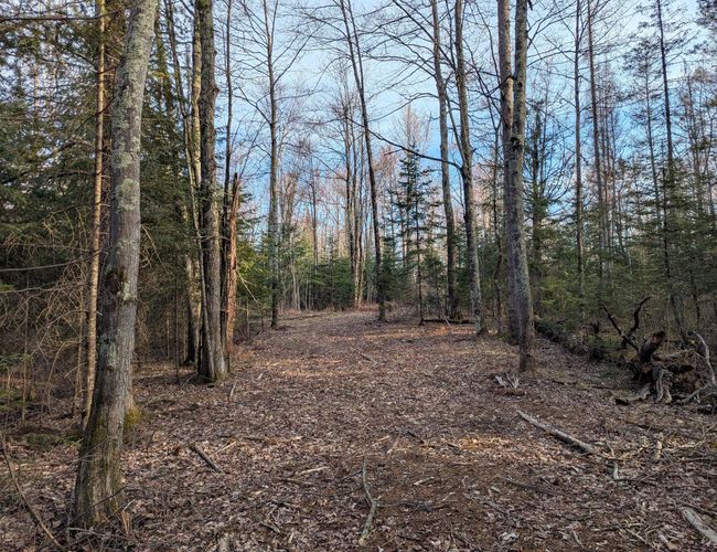 00 Cth X, Home with 0 bedrooms, 0 bathrooms and null parking in PRENTICE WI | Image 12