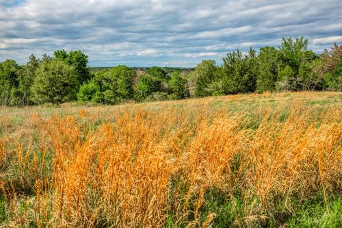 56 County Road 125, Ledbetter, TX, 78946 | Card Image