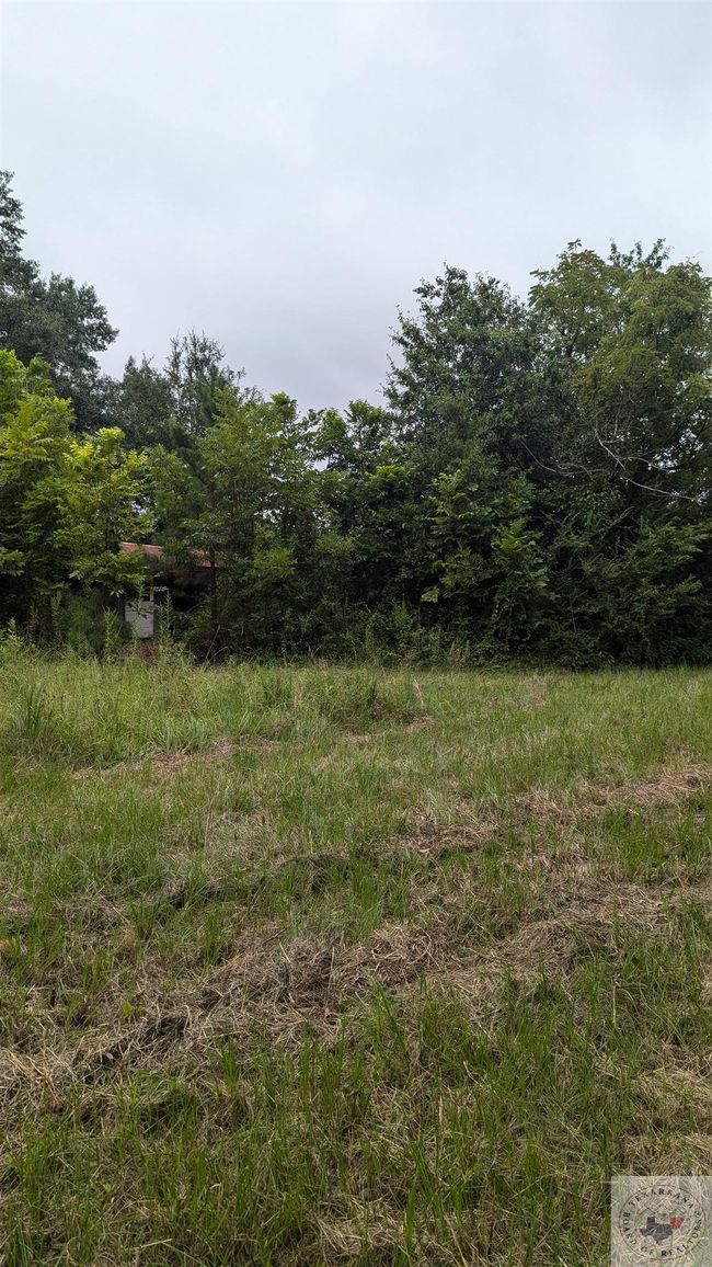 604 Hwy 82 West, House other with 3 bedrooms, 2 bathrooms and null parking in New Boston TX | Image 10