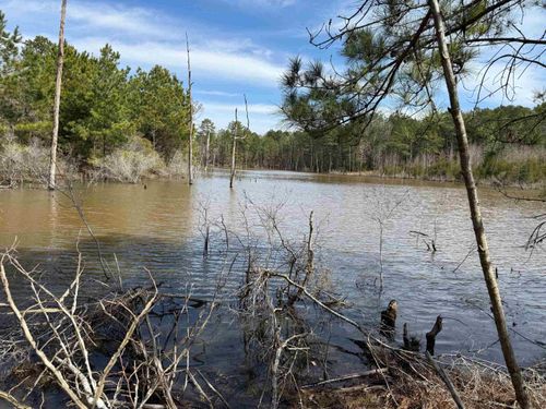 0 Cr 2343 & Cr 2339, Douglassville, TX, 75560 | Card Image