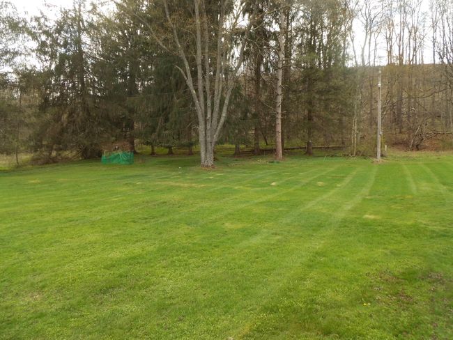 Yard | Image 18