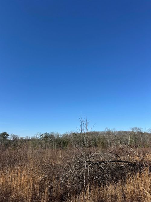 0 County Highway 32, Hackleburg, AL, 35564 | Card Image