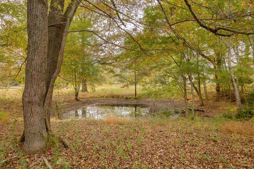 1540 Blue Rd, Tuscumbia, AL, 35674-5812 | Card Image