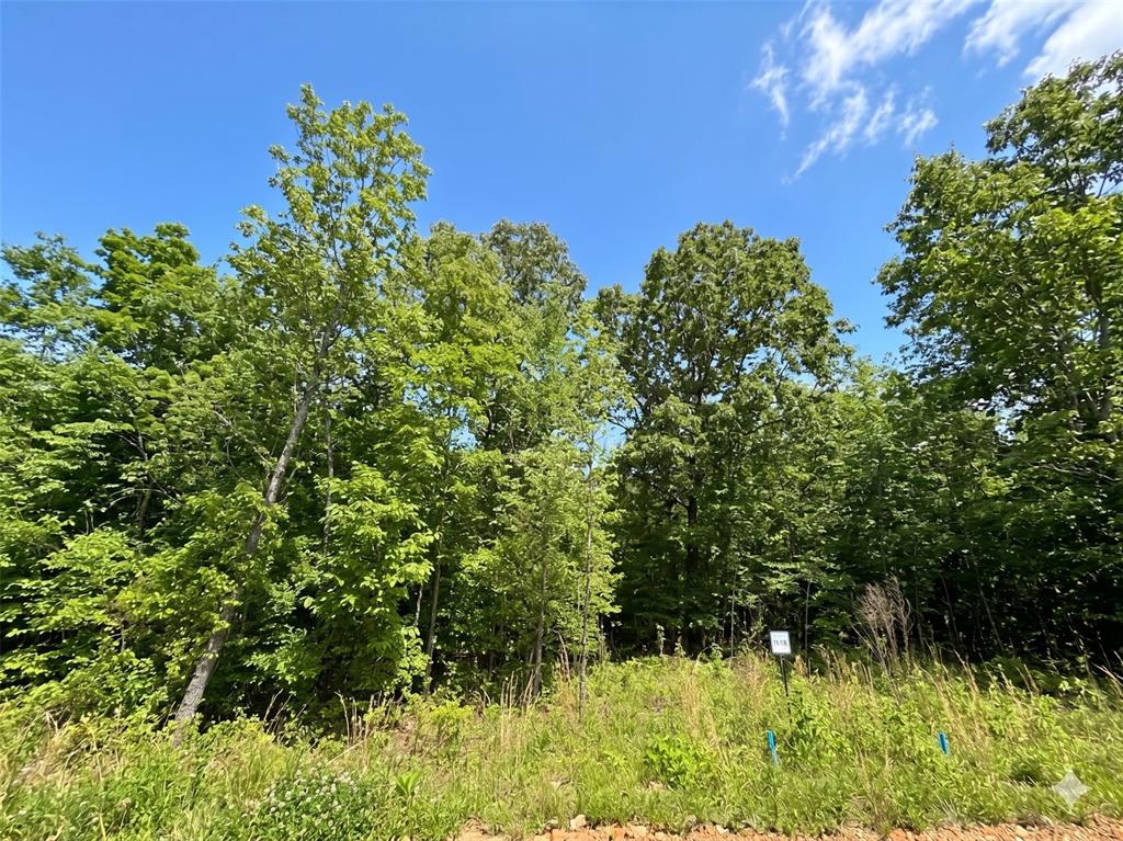 Land in Watson 3