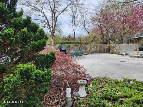 8450 State Highway 73, Townsend, TN, 37882-4324 | Card Image