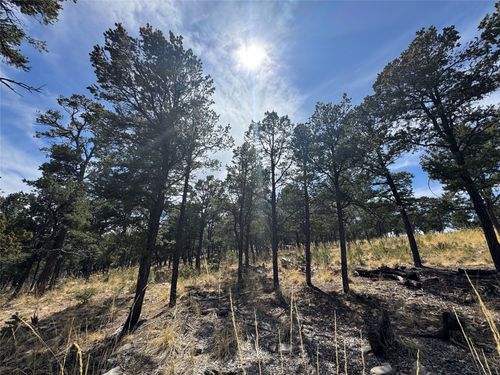 25 Lot 25, Pecos, NM, 87552 | Card Image