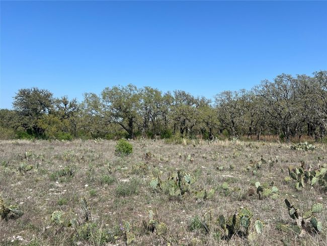 42 N Waterbuck Way, Home with 0 bedrooms, 0 bathrooms and null parking in Lampasas TX | Image 9