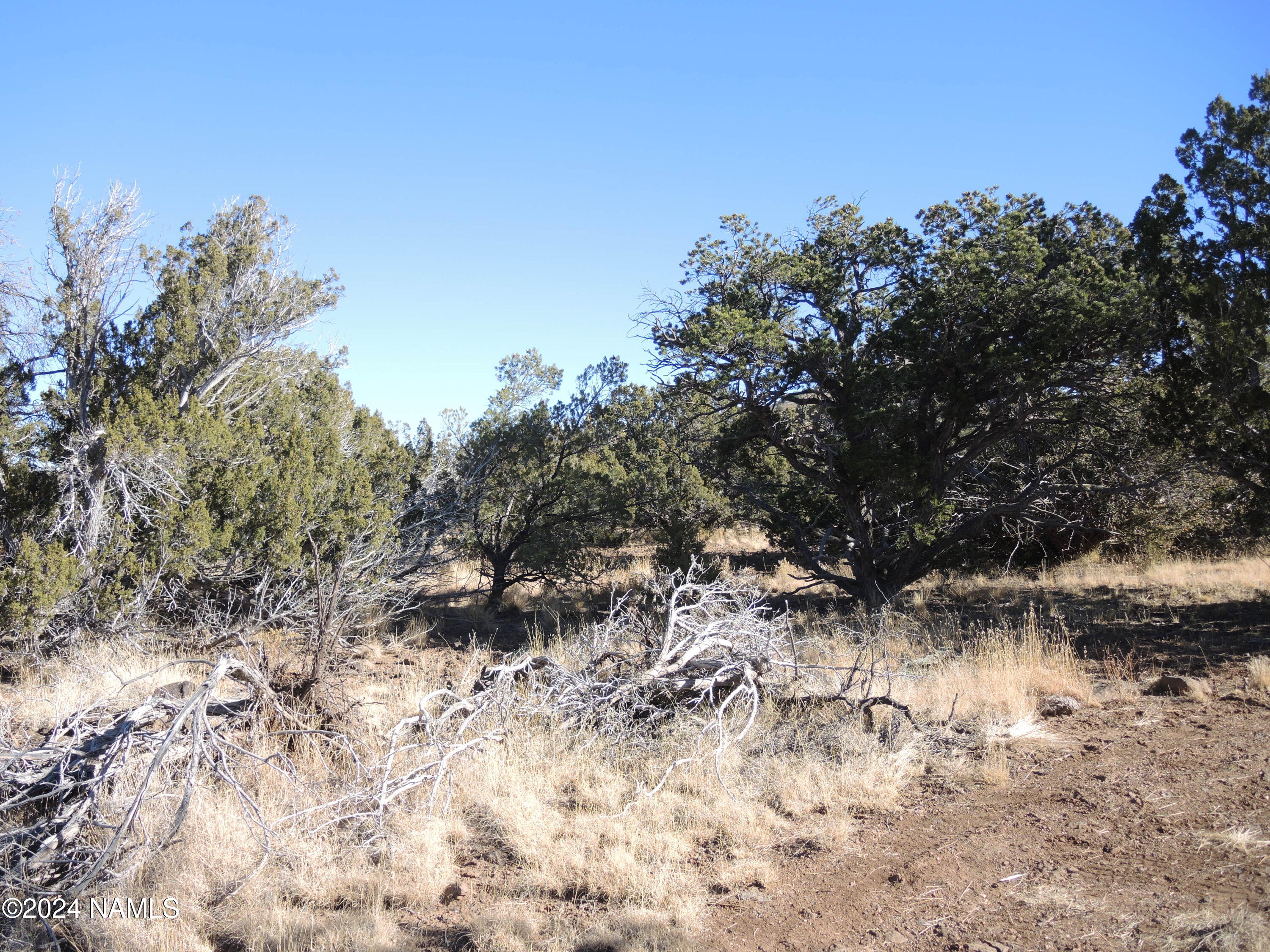 Land in Williams 5