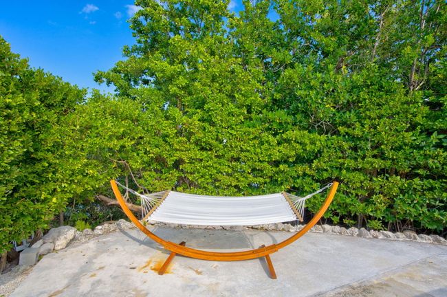 Relax in Hammock | Image 25