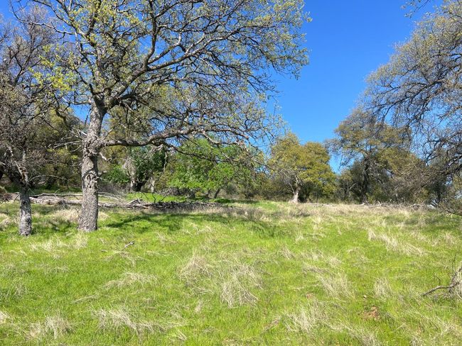 18907 Shake Ridge Rd, Home with 0 bedrooms, 0 bathrooms and null parking in Sutter Creek CA | Image 11