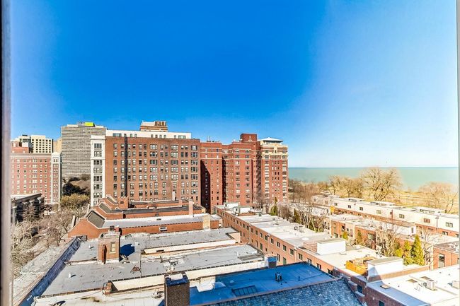 APT-1006 - 5401 S Hyde Park Blvd, Condo with 1 bedrooms, 1 bathrooms and null parking in CHICAGO IL | Image 8