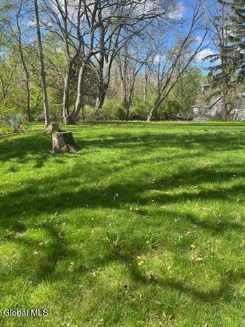 Land in Schenectady 4