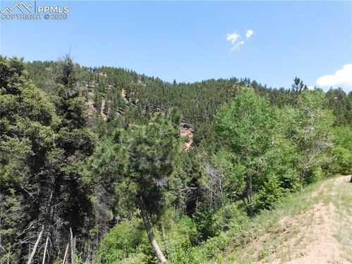 13371 Spruce Creek Cir, Larkspur, CO, 80118-6644 | Card Image