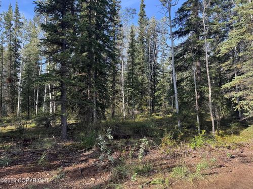 Lot 15 Drucke Miller Road, Tok, AK, 99780 | Card Image