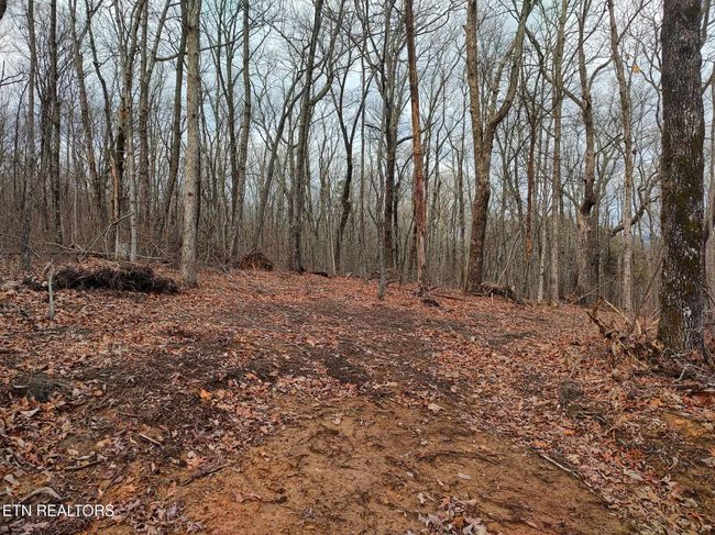 75 Renegade Mountain Pkwy, Home with 0 bedrooms, 0 bathrooms and null parking in Crab Orchard TN | Image 12