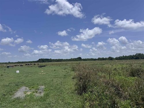 00 Estherwood Highway, Iota, LA, 70543 | Card Image