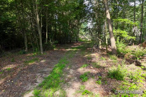 V/L Youngman Road, Trufant, MI, 49347 | Card Image