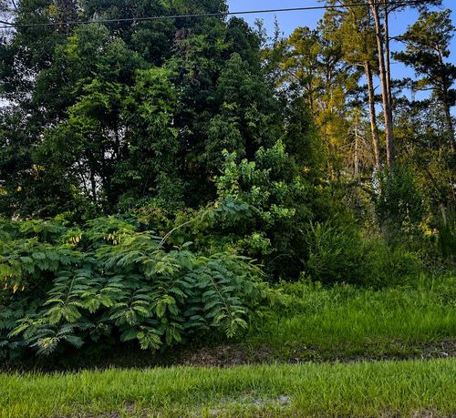 Lot 10 E Chipola Ave, Wewahitchka, FL, 32465 | Card Image