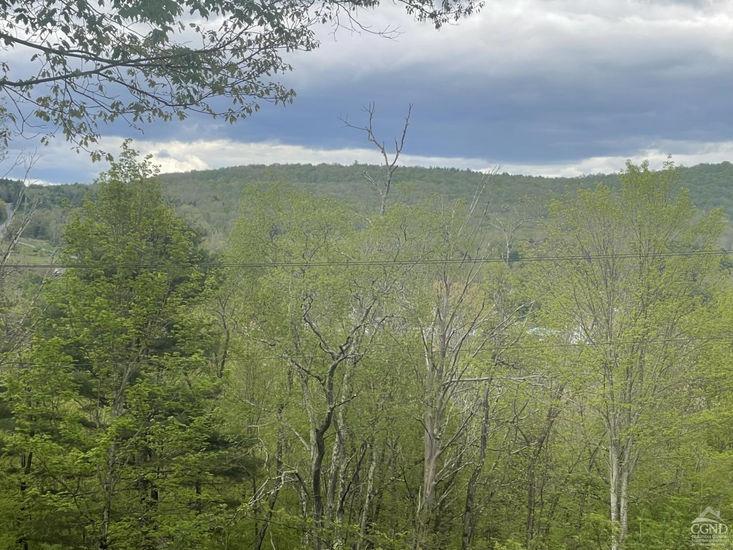 Charlotte Creek Rd, Davenport, NY 13750