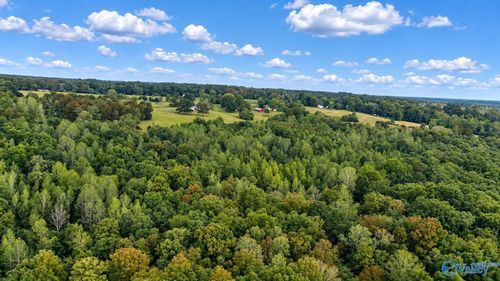 14 AC County Road 166, Fort Payne, AL, 35967 | Card Image