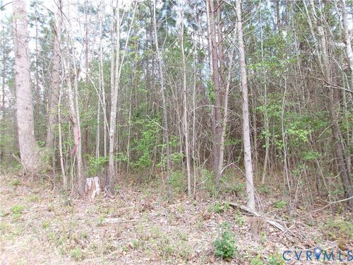 69-(6)-4 Snap Lodge Road, Dewitt, VA, 23840 | Card Image