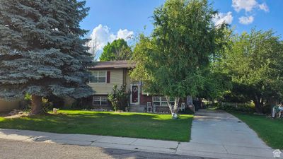 View of front of property with a front yard | Image 2