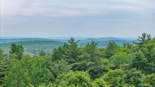 TBD Skinner Lane, Athens, NY, 12015 | Card Image