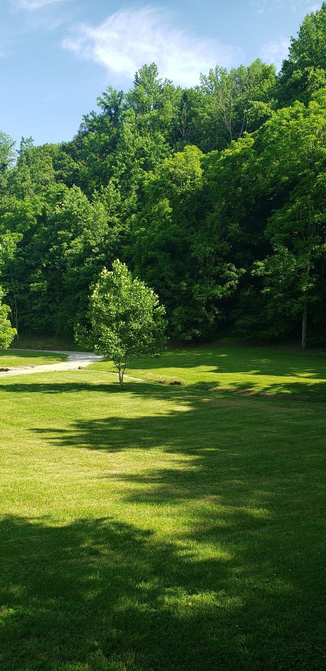 49 Je Sartain Rd, Home with 0 bedrooms, 0 bathrooms and null parking in Manchester TN | Image 37
