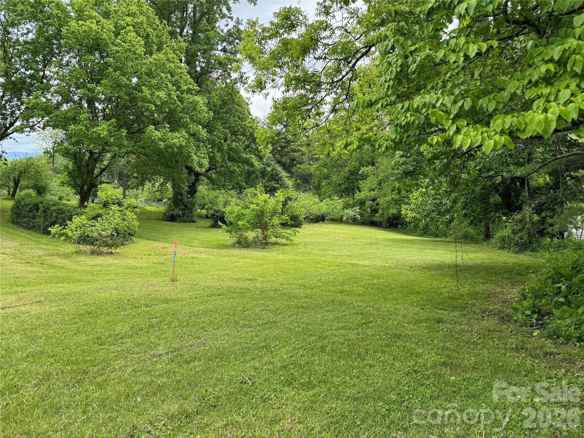 Land in Asheville
