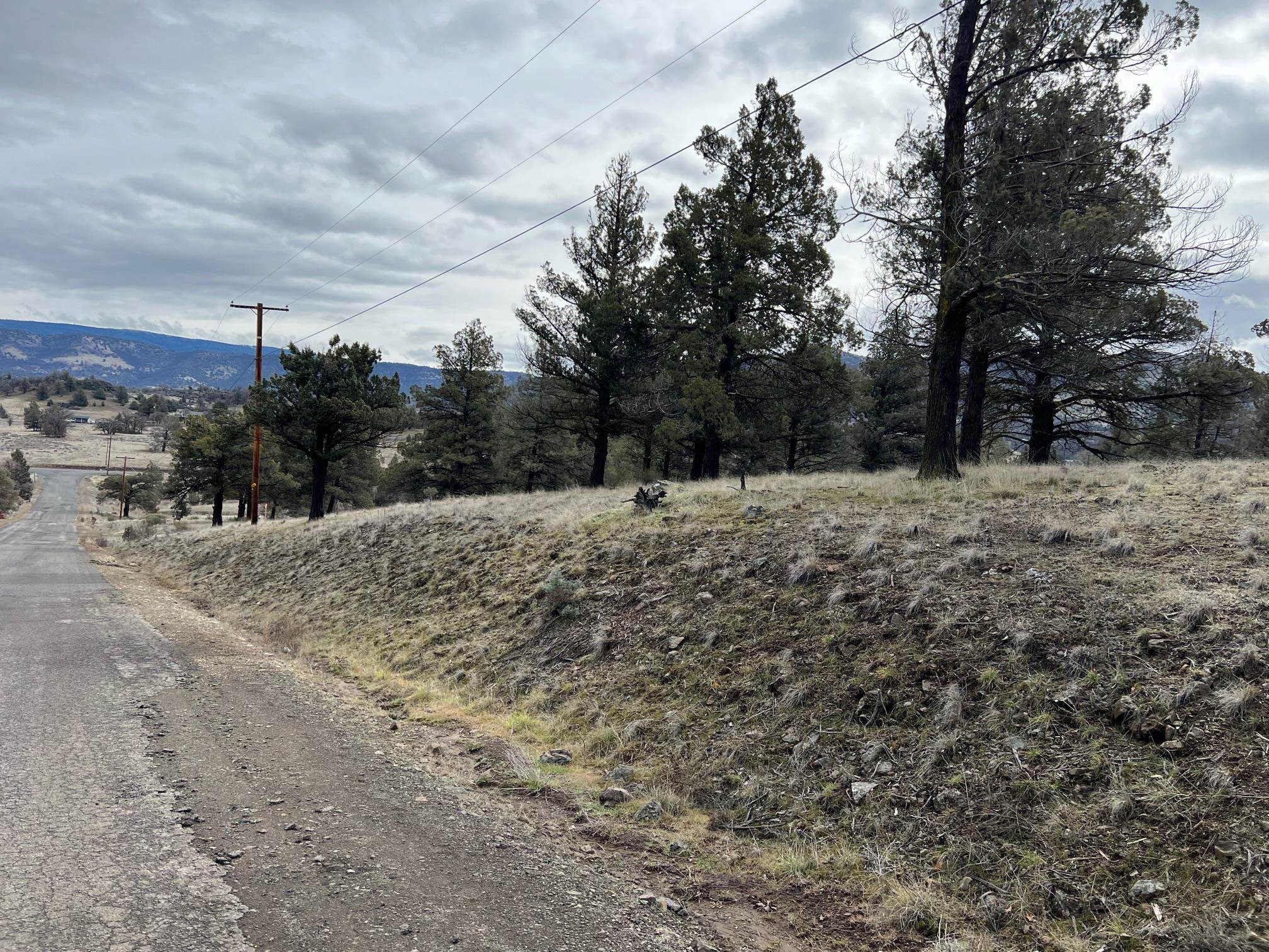 Land in Montague 5