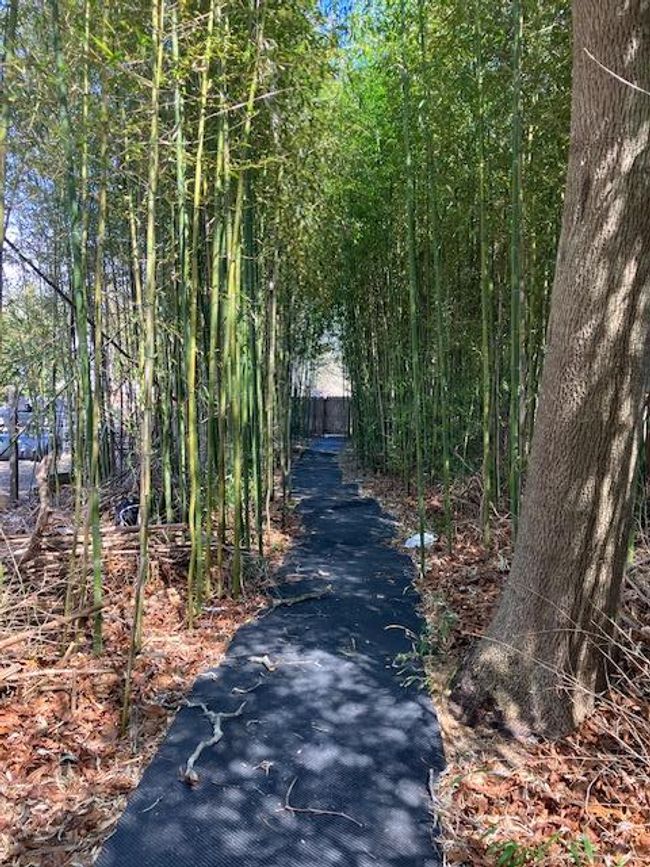 View of street | Image 25