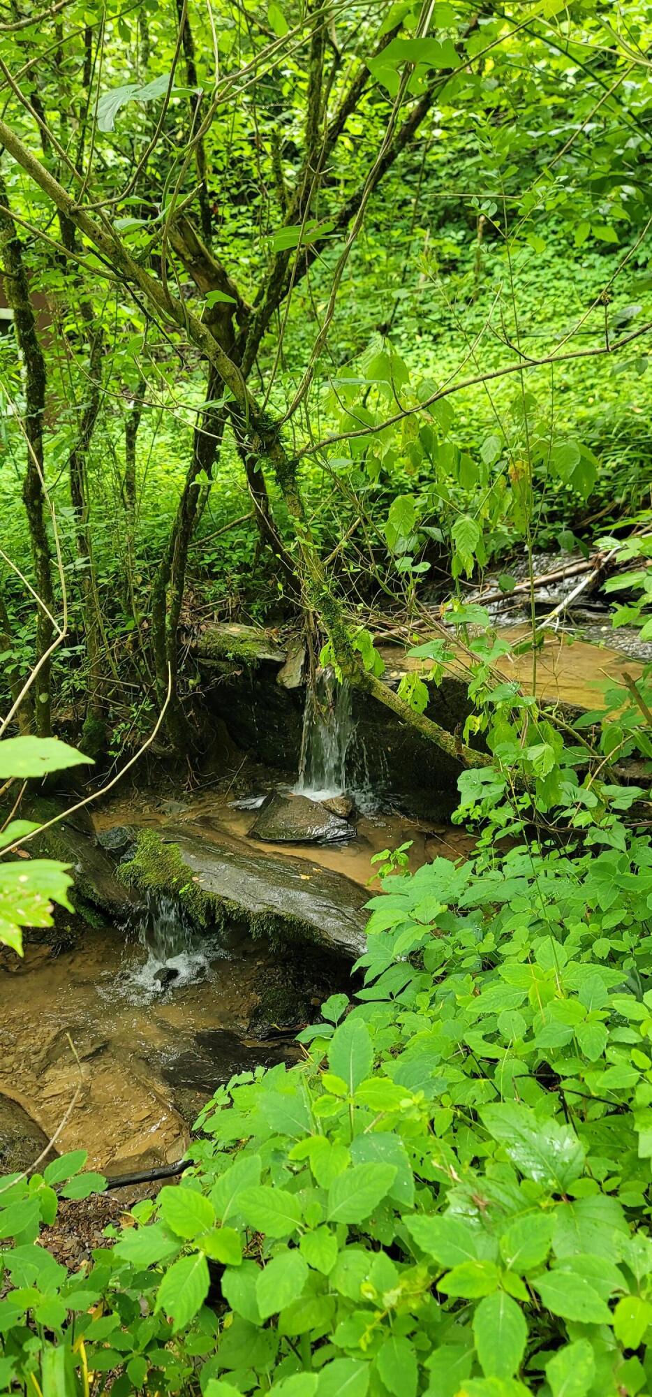 Henry Town Rd, Sevierville, TN 37876